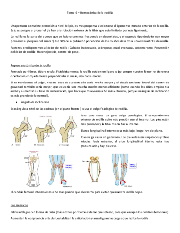 Tema-6-biomecanica.pdf