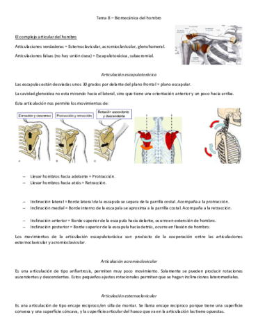 Tema-8-biomecanica.pdf