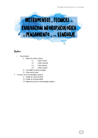 Tema-5-I-Psicologia-del-pensamiento-Pensamiento-y-el-Lenguaje.pdf