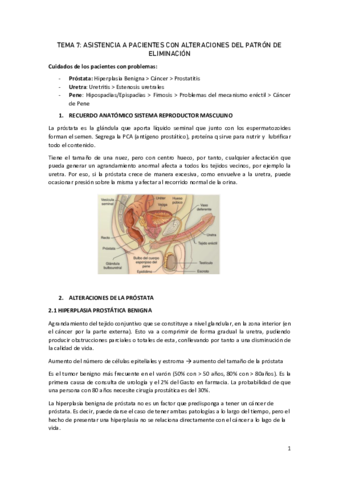 Tema-7.pdf