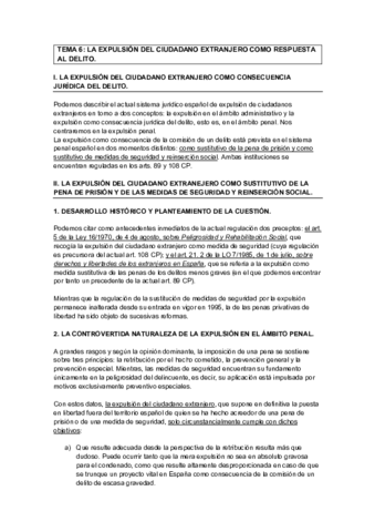 Tema-6.pdf