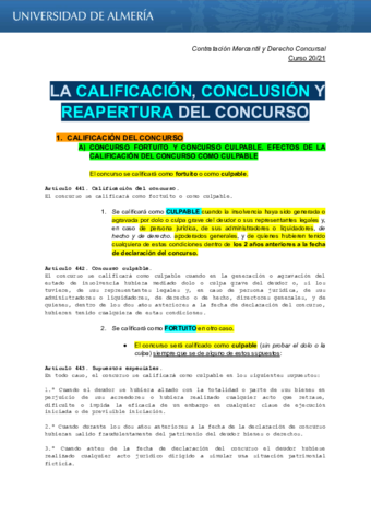 Calificacion-Conclusion-y-Reapertura-del-Concurso-Contratacion-Mercantil.pdf