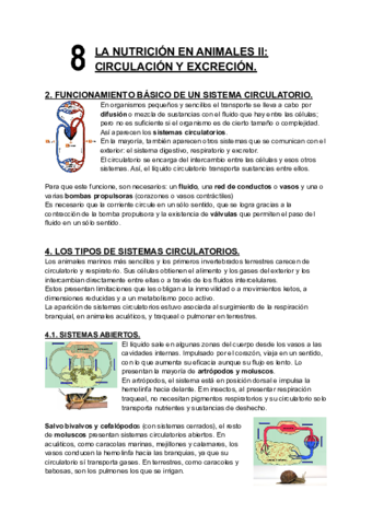 8-Nutricion-en-animales-II-circulacion-y-excrecion.pdf