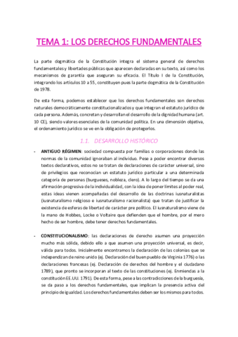 TEMA-1.pdf