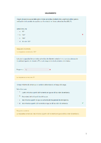 Cusestionarios-IS.pdf