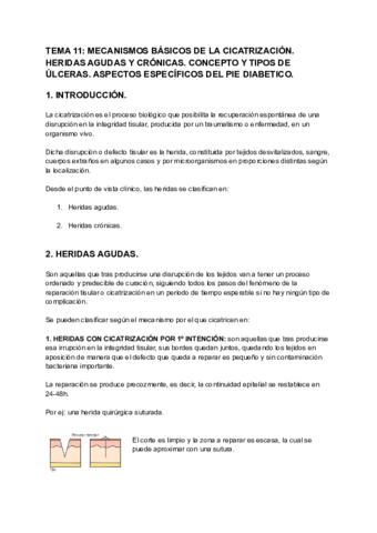 TEMA-11-MECANISMOS-BASICOS-DE-LA-CICATRIZACION.pdf