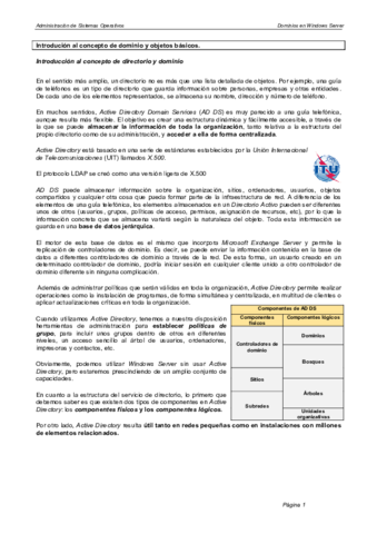 01INTRODUCCION-DOMINIO.pdf