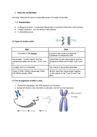 Unit-2.pdf