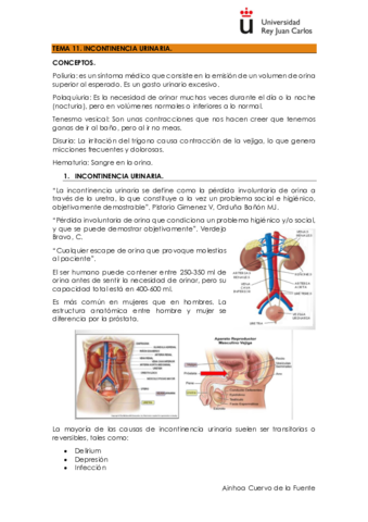 TEMA-11.pdf