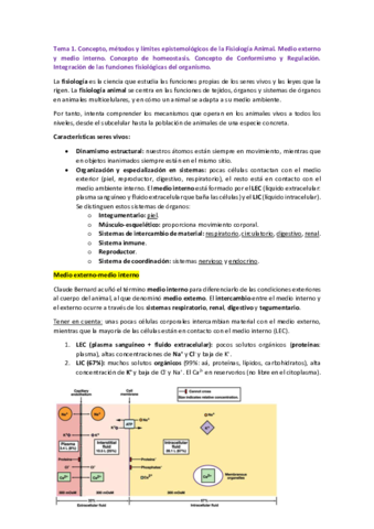 1o-CUATRIMESTRE.pdf