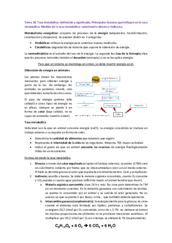 2o-CUATRIMESTRE.pdf