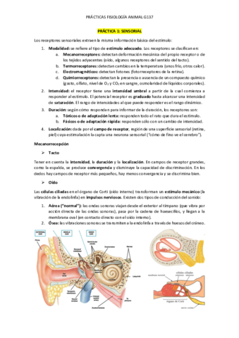 CUADERNO-PRACTICAS-FA.pdf