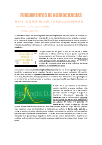 NEUROCIENCIAST6Act-Electrica-de-las-Neuronas.pdf
