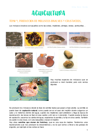 ACUI-4.pdf