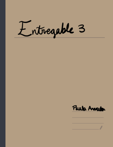 Entregable-3-ampli.pdf