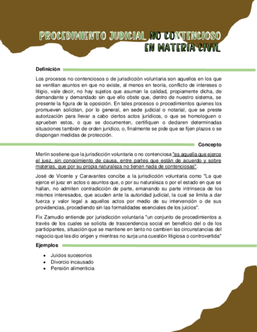 Procedimiento-judicial-no-contencioso-en-materia-Civil.pdf