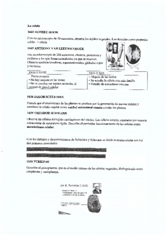 APUNTES-BIOLOGIA-ROBADOS.pdf