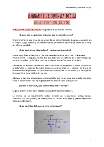 Seminario-III-BQ-MED.pdf