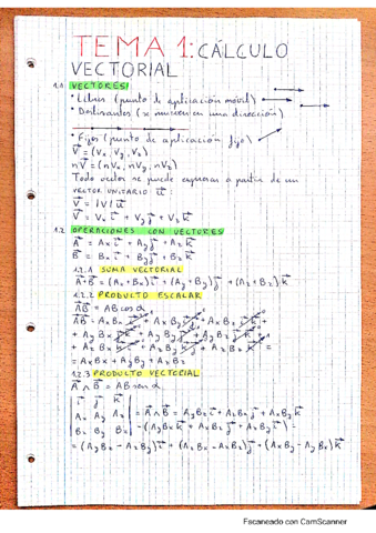 Resumen-FIS-1.pdf