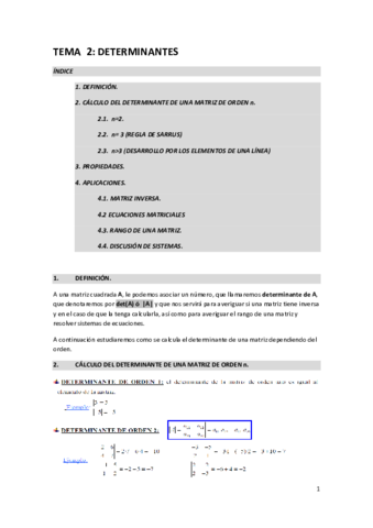Tema-2.pdf