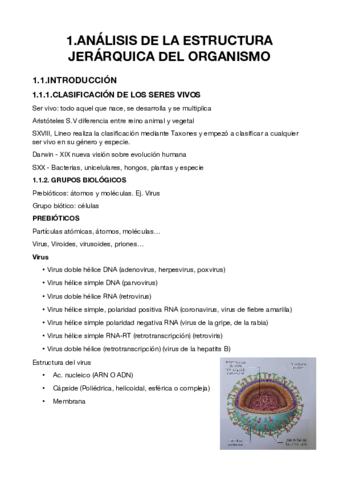 ANALISIS-DE-LA-ESTRUCTURA-JERARQUICA-DEL-ORGANISMO-1.pdf