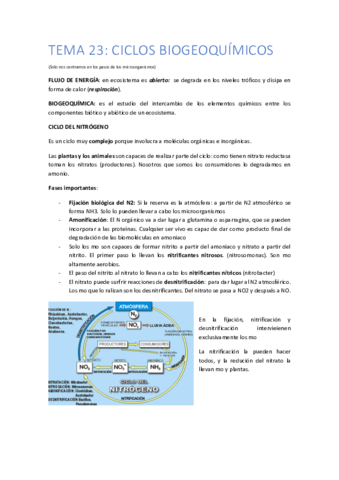 TEMA-23-copia.pdf