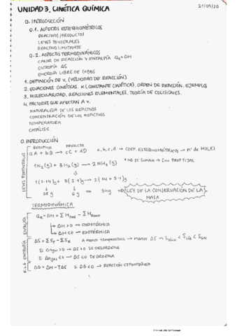 U1CINETICA-QUIMICA.pdf