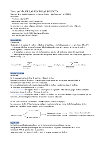 Tema-21-via-pentosas-fosfato.pdf