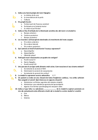 EXEMPLES-PREGUNTES-PRE-EXAMEN-2a-PART.pdf