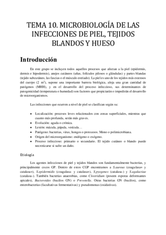 TEMA-10.pdf