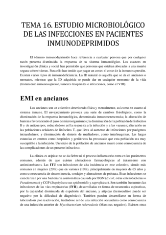 TEMA-16.pdf
