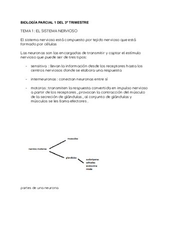 biologia-parcial-1-tercer-trimestee.pdf