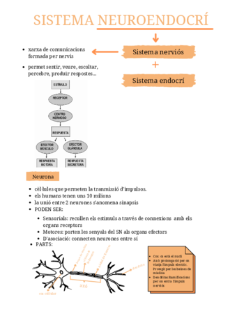 5D1A7A88-2B67-4AE7-8DF5-A6AB85460427.pdf