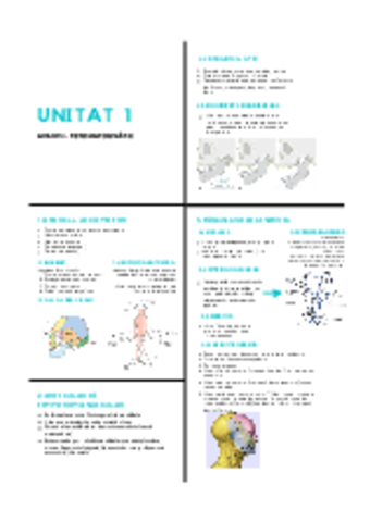 67BD9213-17C1-420D-B1A2-34113157058F.pdf