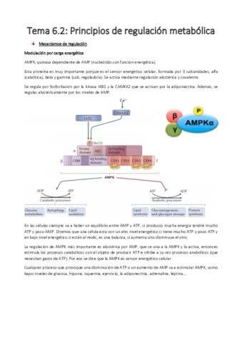 Tema 6.2 (2º parcial)