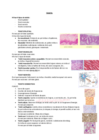 ilovepdfmerged-3.pdf