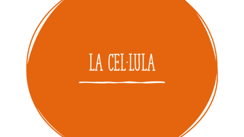 RECU-CELLULA.pdf