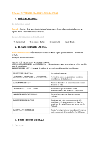 TEMA-6-EL-TREBALL-I-LA-LEGISLACIO-LABORAL-2.pdf