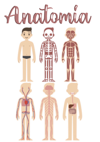 TODO-1o-Trimestre-Osteologia.pdf