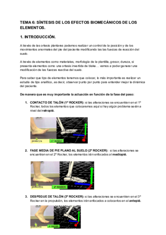 TEMA-6-SINTESIS-DE-LOS-EFECTOS-BIOMECANICOS-DE-LOS-ELEMENTOS.pdf
