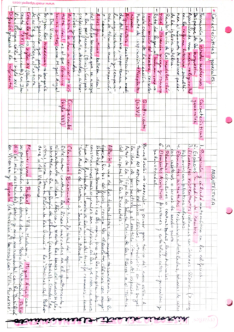 RENACIMIENTO.pdf