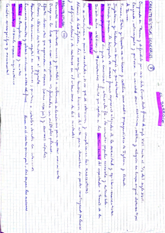BARROCO.pdf