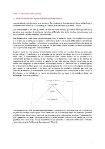 Tema-1.pdf