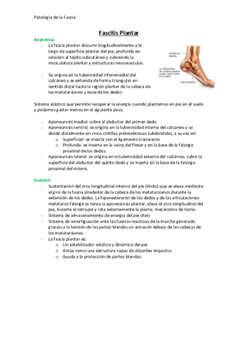 T1 - Patologia de la Fascia.pdf