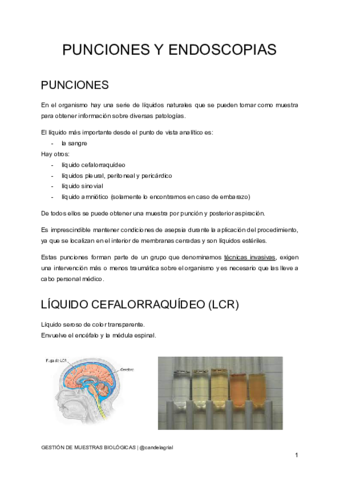 T. 9 Punciones y endoscopias.pdf
