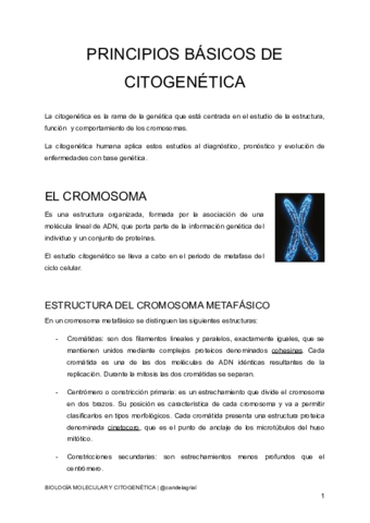 T.11 Principios básicos de citogenética.pdf