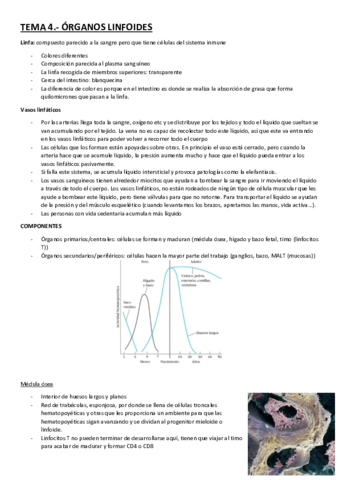 TEMA-4.pdf