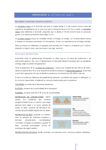 SI-AGUDOS-SEMINARIOS.pdf