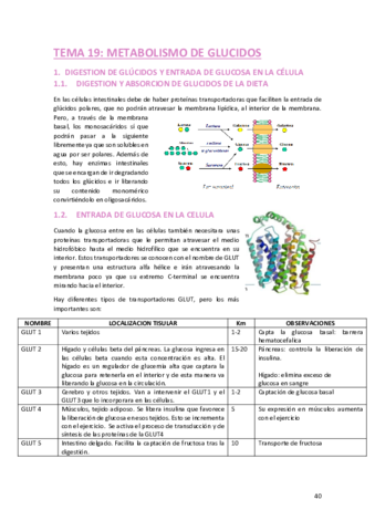 2o-parte-bioquimica.pdf