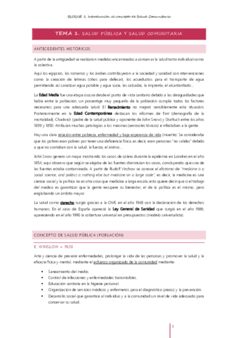 SI-COMUNITARIA-BLOQUES.pdf